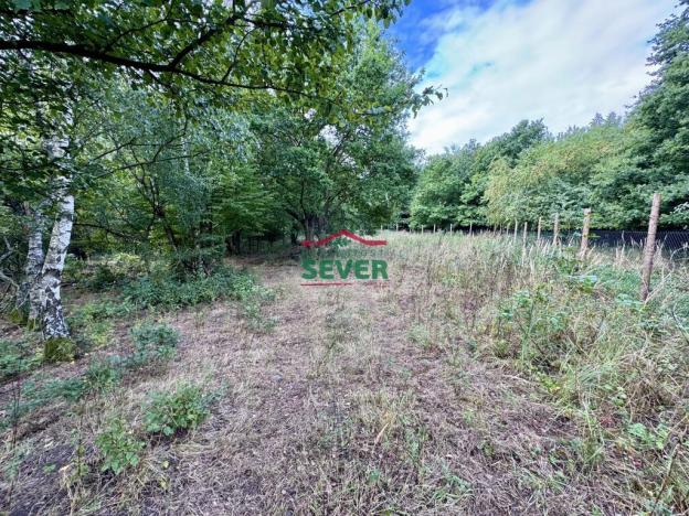 Prodej komerčního pozemku, Litvínov - Janov, Loupnická, 10231 m2