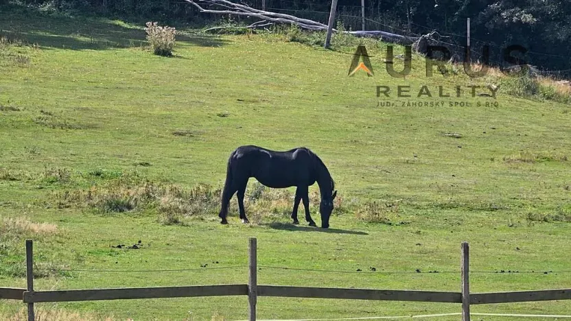 Prodej louky, Blatno, 34886 m2