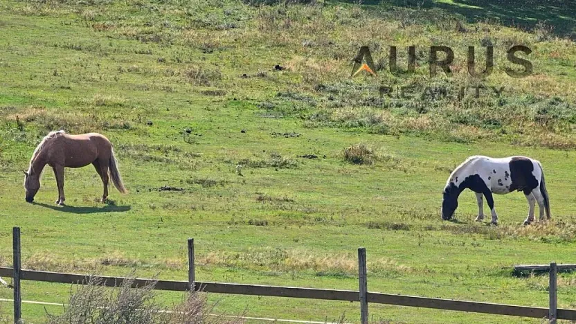 Prodej louky, Blatno, 34886 m2