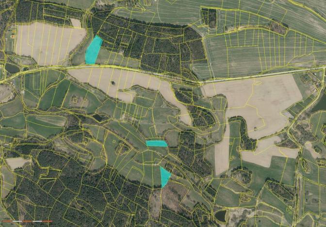 Prodej pole, Mečichov, 68656 m2