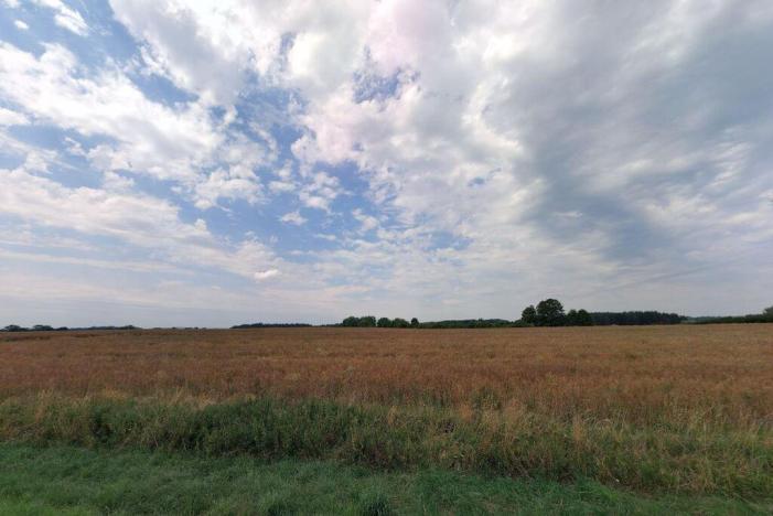 Prodej pole, Mečichov, 68656 m2