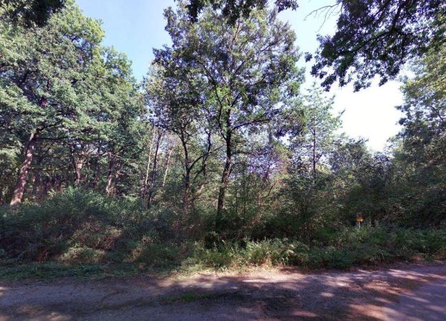 Prodej pole, Pohorovice - Kloub, 3765 m2