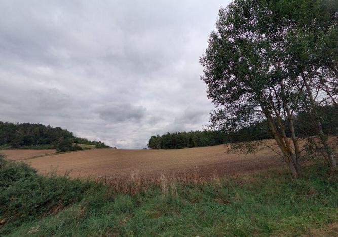 Prodej pole, Chlumy, 18910 m2