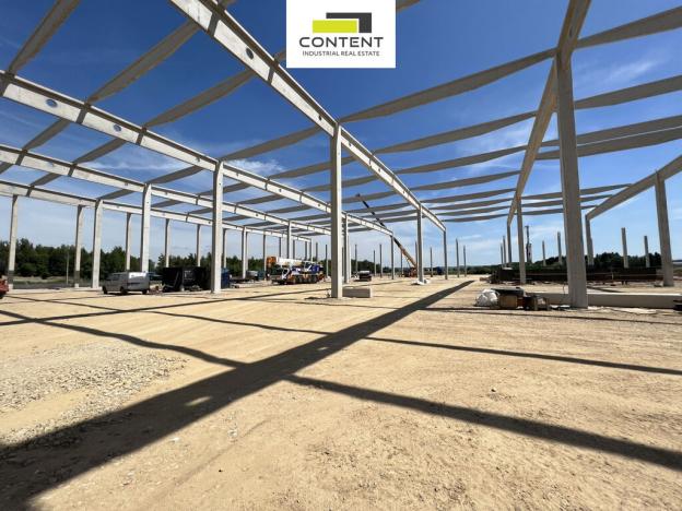 Pronájem skladu, Velký Osek, Prokopa Holého, 10000 m2