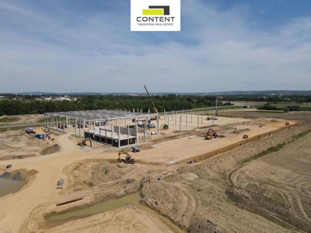 Pronájem skladu, Velký Osek, Prokopa Holého, 10000 m2