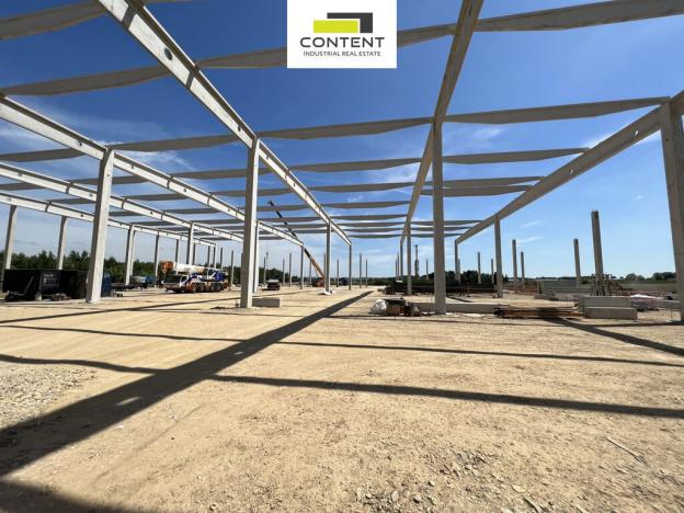 Pronájem skladu, Velký Osek, Prokopa Holého, 6000 m2