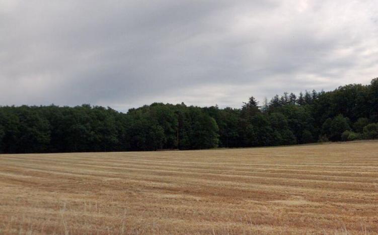 Prodej louky, Bystřice - Líštěnec, 327 m2