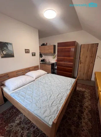 Pronájem bytu 1+kk, Teplá, Havlíčkova, 48 m2