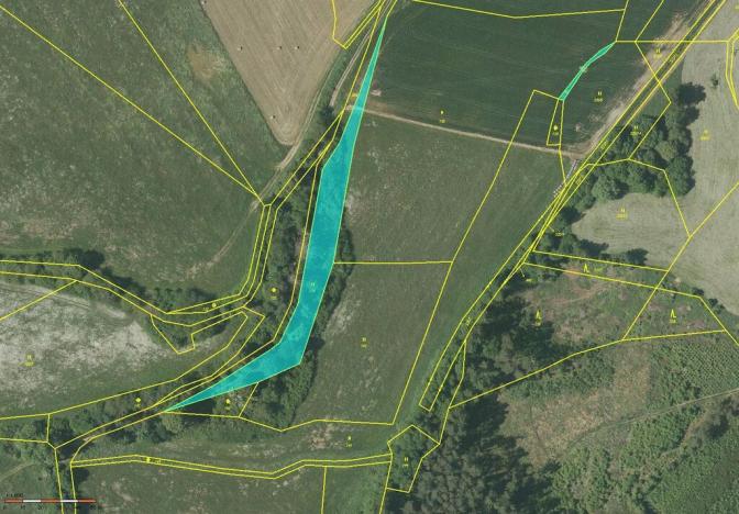 Prodej louky, Mochtín - Újezdec, 2981 m2