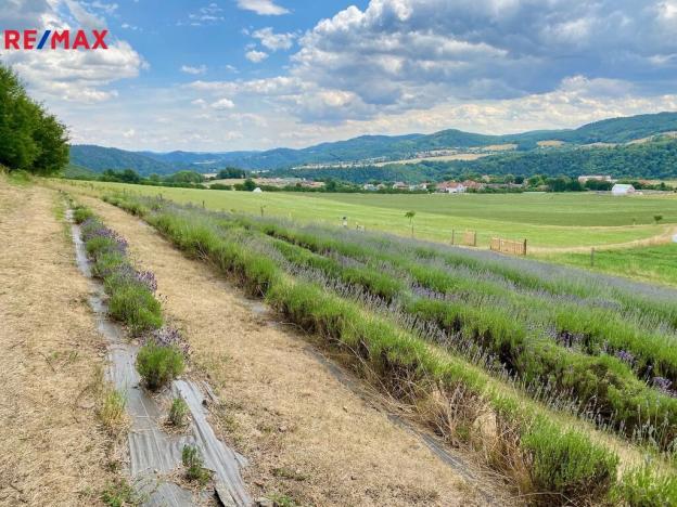 Prodej zemědělské usedlosti, Nezabudice, 410 m2