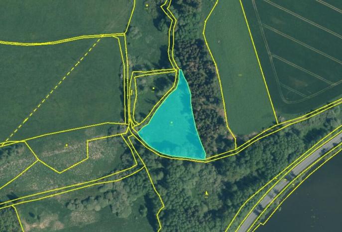 Prodej louky, Chodský Újezd - Nahý Újezdec, 5060 m2