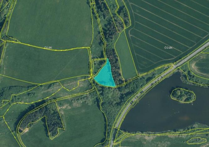 Prodej louky, Chodský Újezd - Nahý Újezdec, 5060 m2