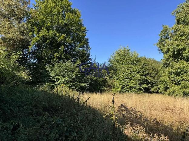 Prodej rodinného domu, Mladějov na Moravě, 764 m2