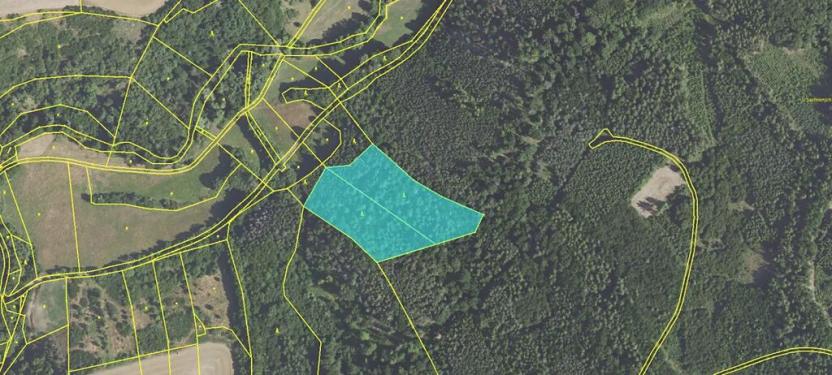 Prodej podílu lesa, Hudlice, 5790 m2