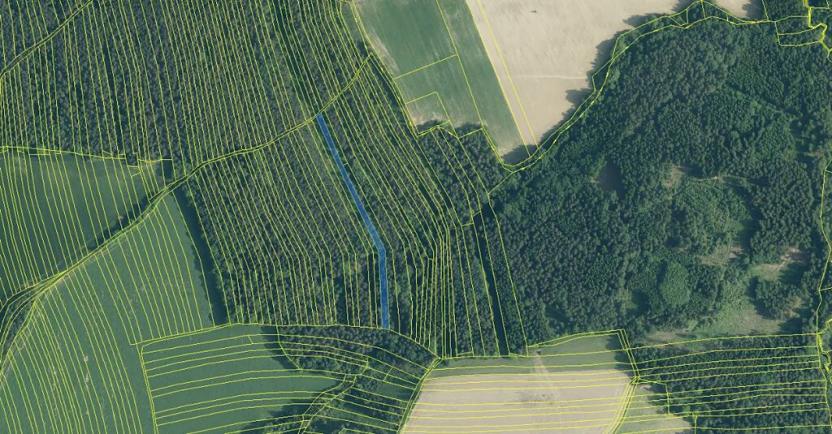 Prodej lesa, Ločenice, 7181 m2