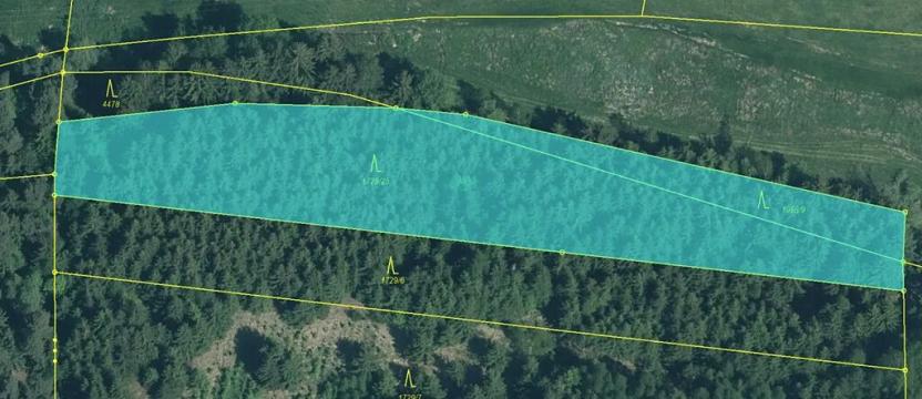 Prodej lesa, Křenovice, 5088 m2