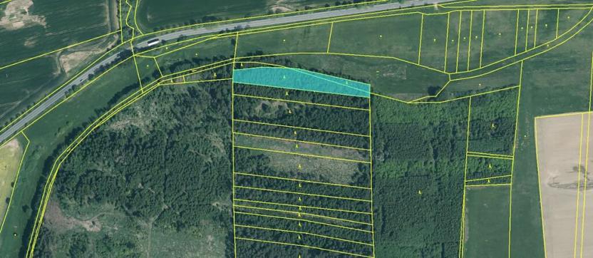 Prodej lesa, Křenovice, 5088 m2