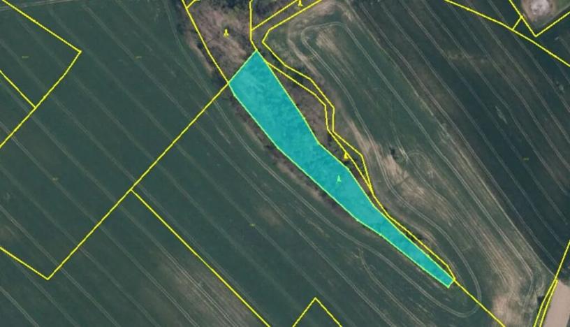 Prodej podílu lesa, Doksy, 2664 m2