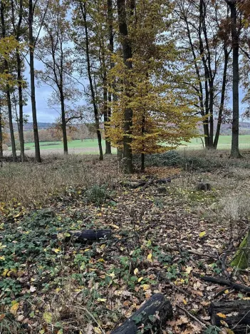 Prodej podílu pozemku, Dolní Lukavice, 43384 m2