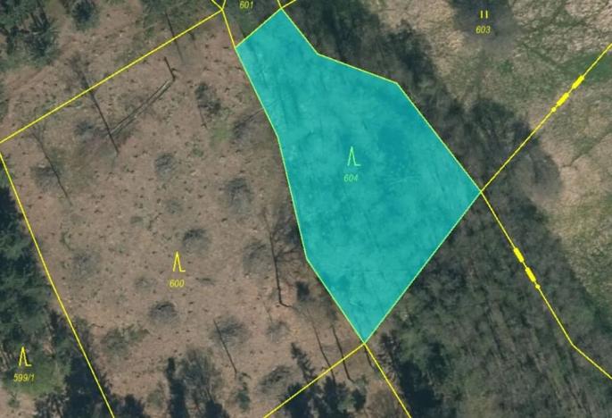 Prodej podílu lesa, Smilovy Hory, 938 m2