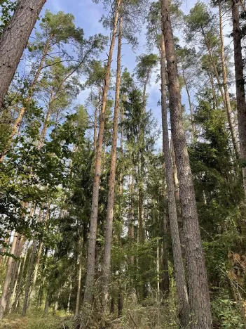 Prodej podílu pozemku, Velký Ratmírov, 3510 m2