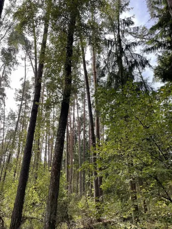 Prodej podílu pozemku, Velký Ratmírov, 3510 m2