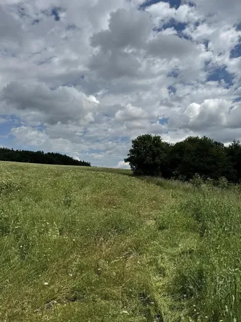 Prodej podílu pozemku, Suchdol, 9027 m2