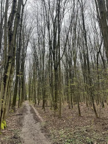 Prodej lesa, Pardubice, 7559 m2