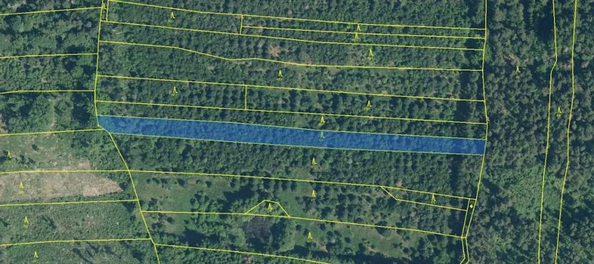 Prodej lesa, Myslív, 4556 m2