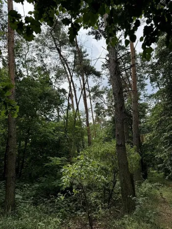 Prodej podílu pozemku, Kojice, 4807 m2