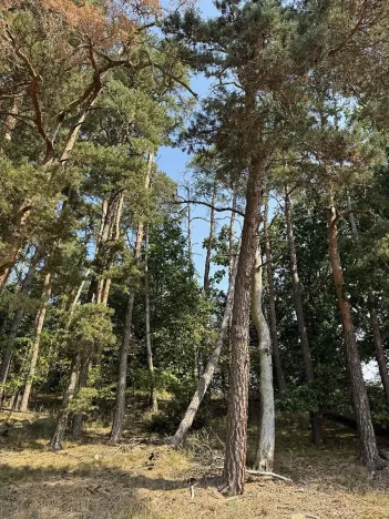 Prodej podílu pozemku, Hradiště, 3093 m2