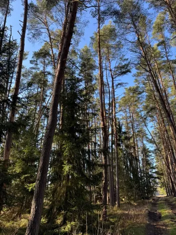 Prodej pozemku, Slabčice, 13278 m2