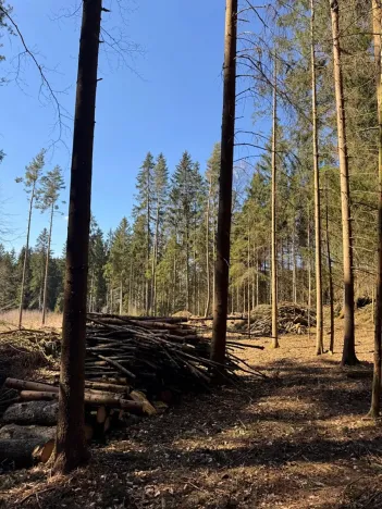 Prodej podílu pozemku, Studená, 18432 m2