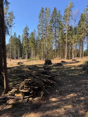 Prodej podílu pozemku, Studená, 18432 m2