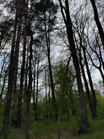 Prodej pozemku, Třeboň, 14477 m2