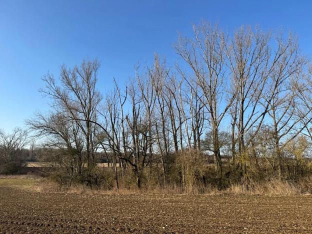 Prodej lesa, Mělnické Vtelno, 14454 m2