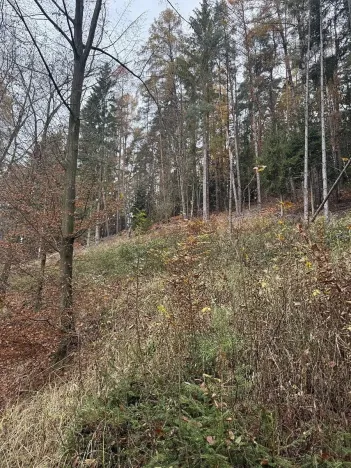 Prodej lesa, Luká, 8606 m2