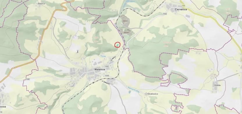 Prodej podílu lesa, Malenice, 3819 m2
