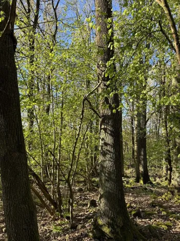 Prodej pozemku, Čížkov, 24151 m2