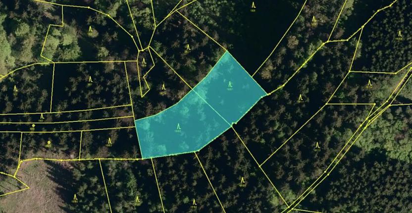 Prodej podílu lesa, Valašská Polanka, 1343 m2