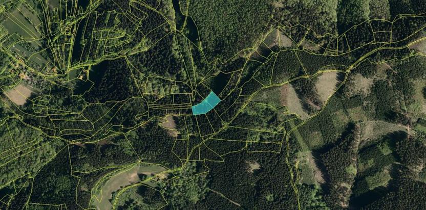 Prodej podílu lesa, Valašská Polanka, 1343 m2