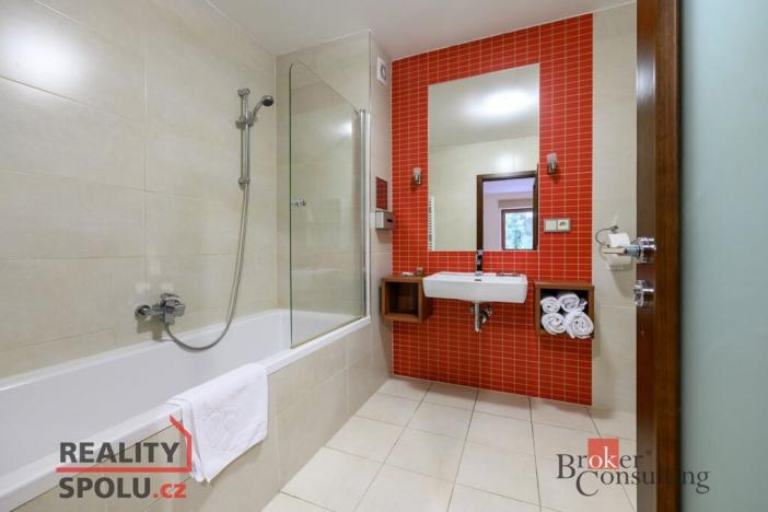 Prodej bytu 2+kk, Plzeň - Jižní Předměstí, U Borského parku, 52 m2