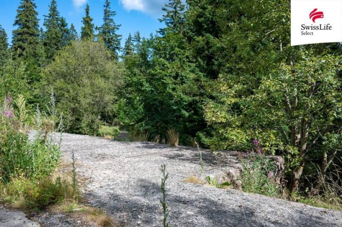 Prodej komerčního pozemku, Stará Ves - Žďárský Potok, 1558 m2