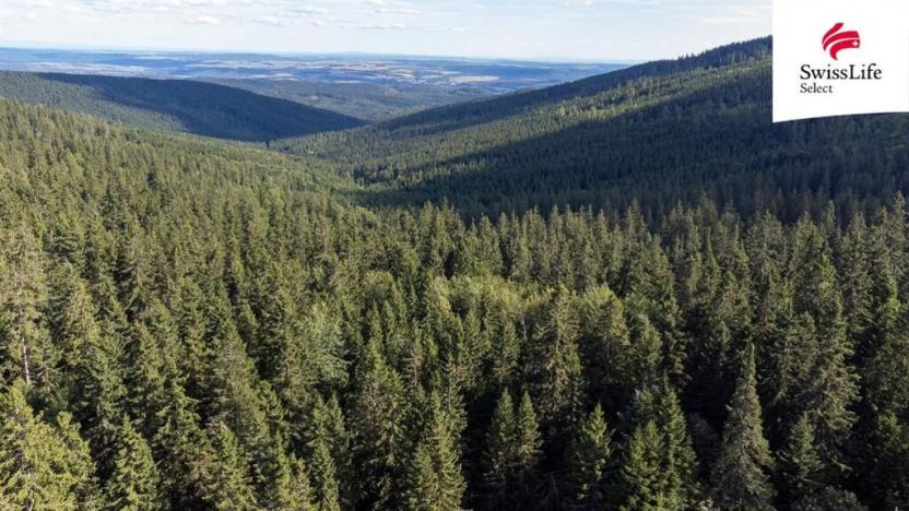 Prodej komerčního pozemku, Stará Ves - Žďárský Potok, 1558 m2