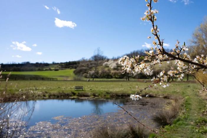 Prodej rodinného domu, Slavkov u Brna, 105 m2