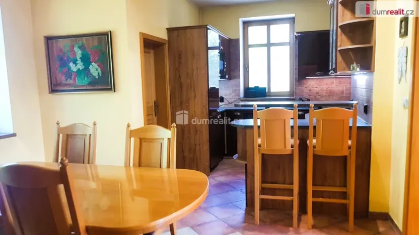 Prodej rodinného domu, Hodonín, Plucárna, 303 m2