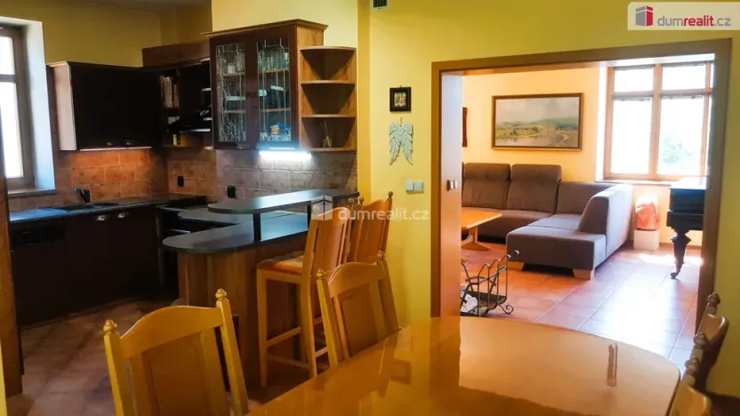 Prodej rodinného domu, Hodonín, Plucárna, 303 m2