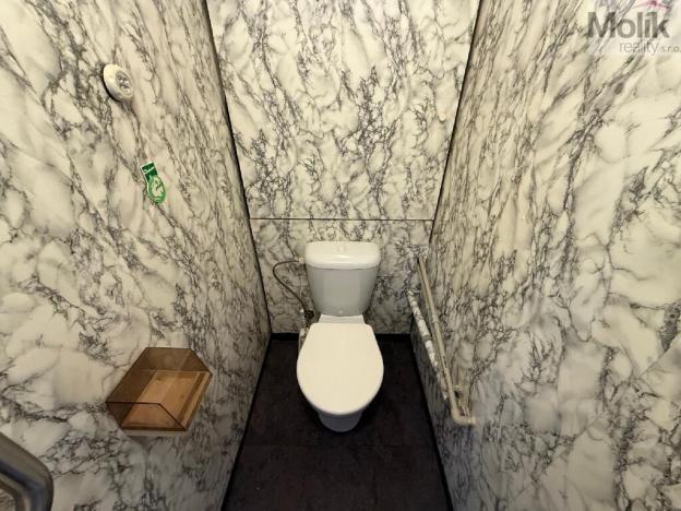 Pronájem bytu 3+1, Most, Josefa Ševčíka, 73 m2