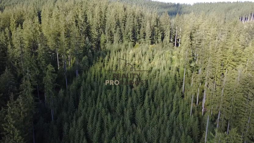 Prodej pozemku pro bydlení, Velké Karlovice, 45173 m2