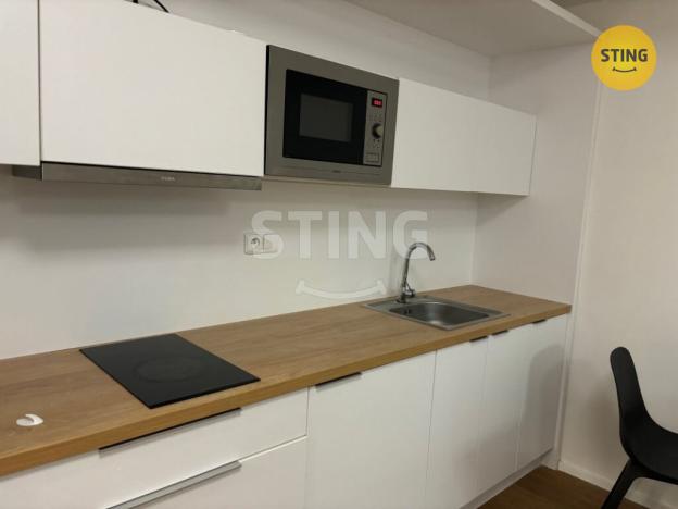 Pronájem bytu 1+kk, Ostrava, S. K. Neumanna, 30 m2